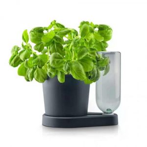 Herbimizer® | Kruidenpot met automatisch irrigatiesysteem